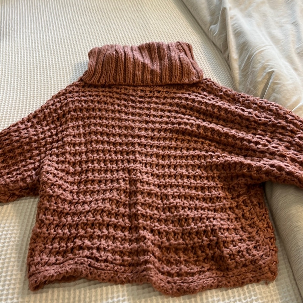 Cropped knit express turtleneck sweater